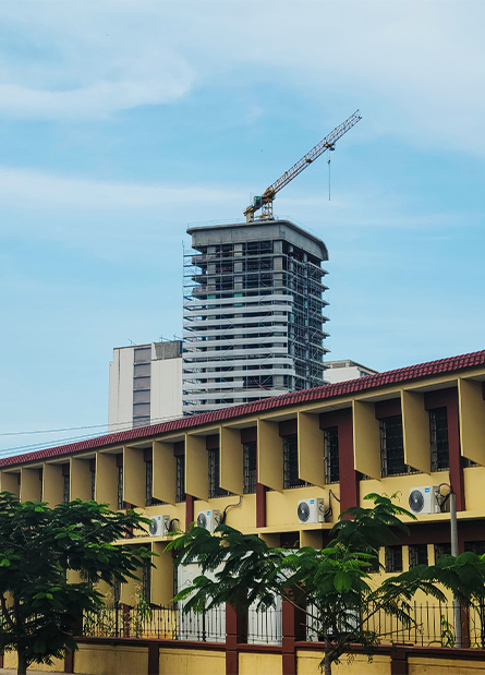 445-3.jpg